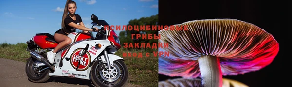 ешки Новокубанск
