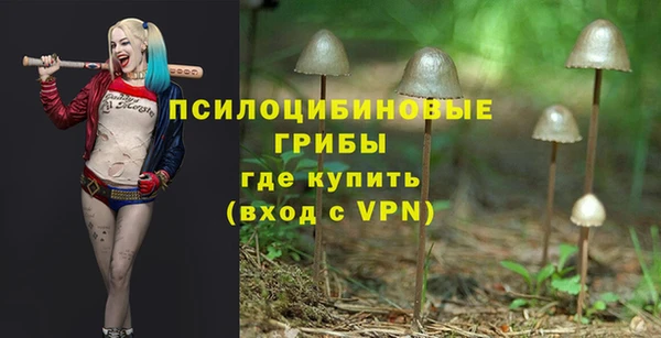 ешки Новокубанск