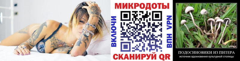 хочу   это какой сайт  Псилоцибиновые грибы Magic Shrooms  Кадников 